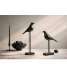 Zestaw 2 dekoracji SHP BIRDY czarna