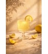 Zestaw 4 szklanek SHP FLORES              transparentny